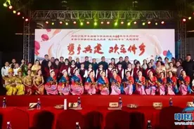 福建东侨举办侨乡联欢晚会：展示独特文化魅力和多元风情图片