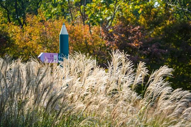 现在的金山是什么颜色？答案藏在这片…