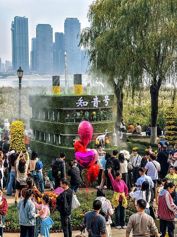 金秋菊海邂逅“知音” 市民直呼惊喜