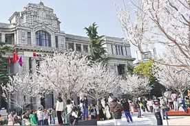一天涌现百余条赏樱攻略 全国各地网友盼享湖北“春日盛宴”图片