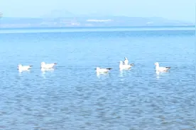 阳光沙滩、迷你小岛……这是海滨度假风吹到昆明？本地人都迷糊了~图片