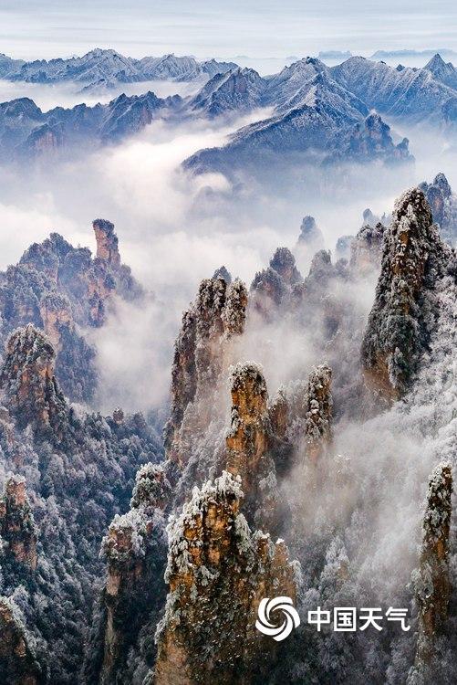 小雪节气：千色藏冬 一组图看雪中多彩世界