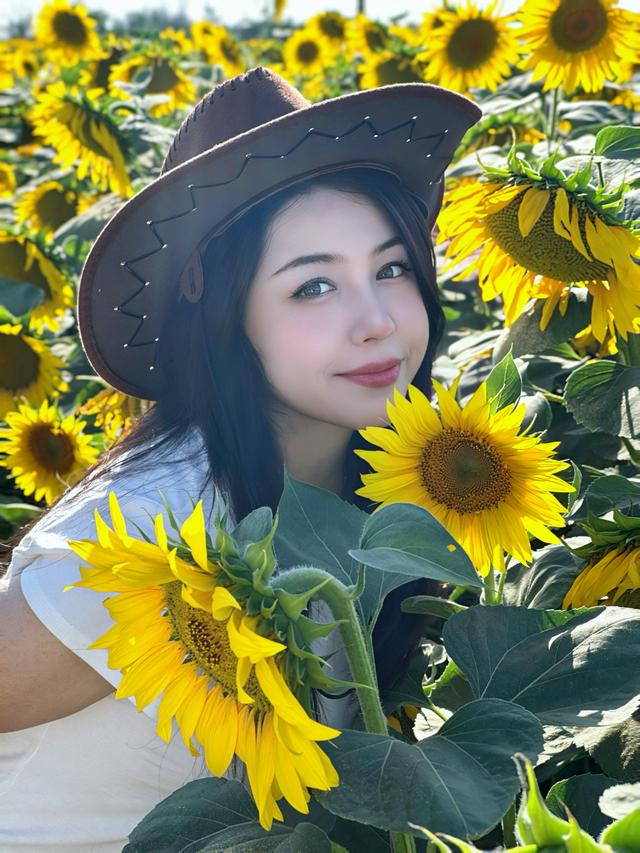 米东在等你，来看向日葵花海