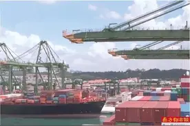 新加坡港“大堵船”全球海运费飞涨图片