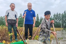 监利市柘木乡：生产自救  抢排积水图片