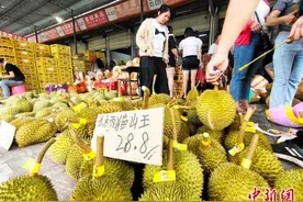 广西南宁：榴莲热销图片