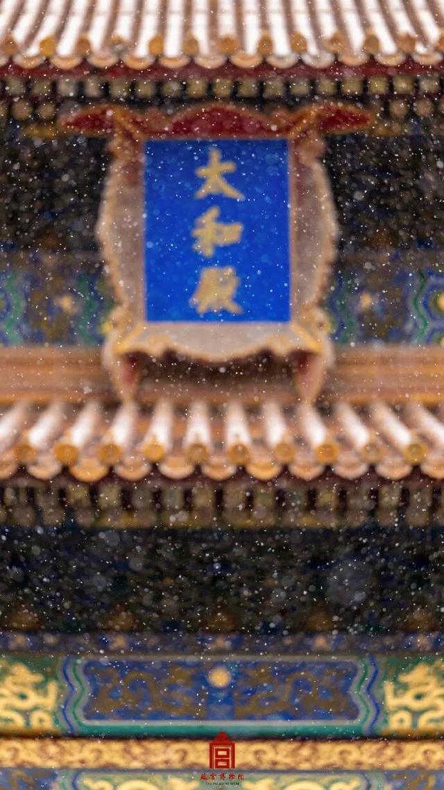 北京，下雪啦！（多图）