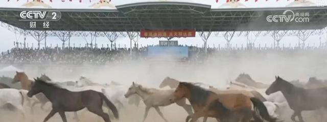 特色文旅标签再上“新” 经典IP“链”接新场景撬动暑期消费新热力