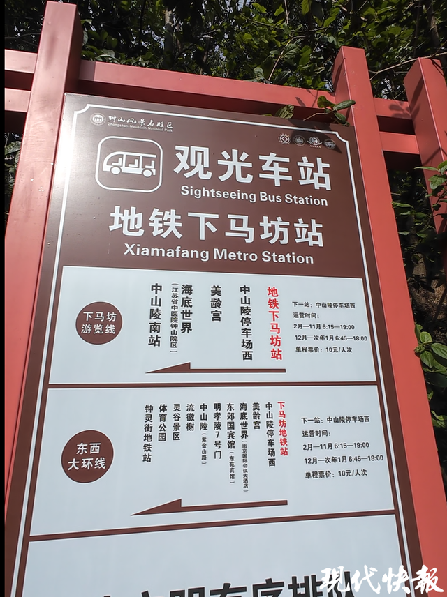 南京梧桐大道“无车”首日实探：接驳站点“车等人”，公交进景区最实惠便捷