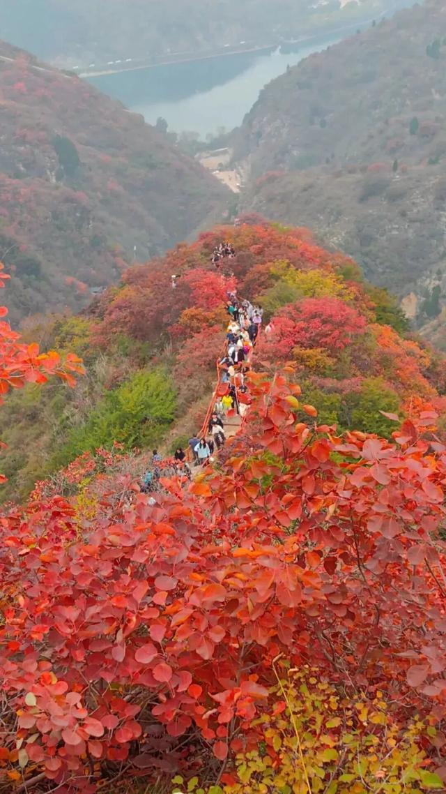 听说周末的石门坊挤爆了？哎，我有一计！