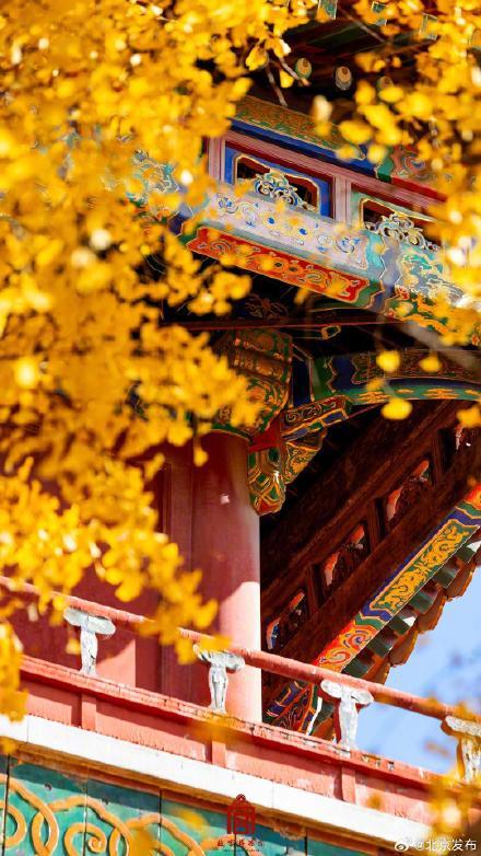 转发收藏！故宫初冬鎏金壁纸上新了 第7张