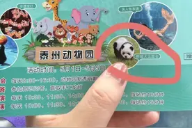 江苏泰州动物园“熊猫犬”走红，园方回应：是染色的松狮犬图片