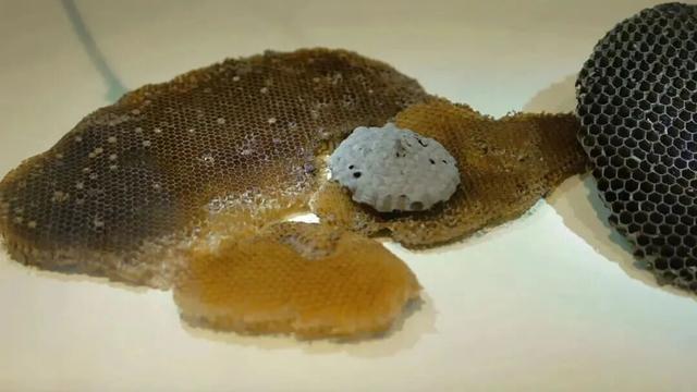 颠覆认知！奉贤竟然藏着这么多“黑科技”，这份奉贤工业游指南千万别错过