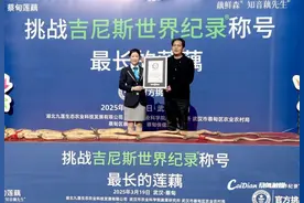 武汉诞生新吉尼斯世界纪录图片