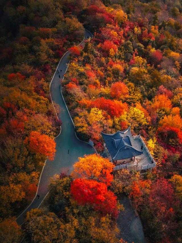 11月最应该去哪里旅行？