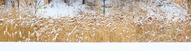 京郊冬日疗愈之旅 | 解锁北京小汤山医院绝美雪景