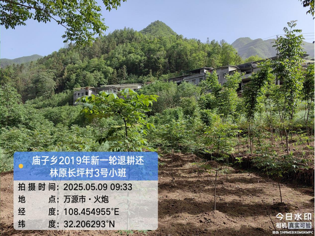 厚植生态本底赋能康养之廊——万源全力打造生态文旅新标杆
