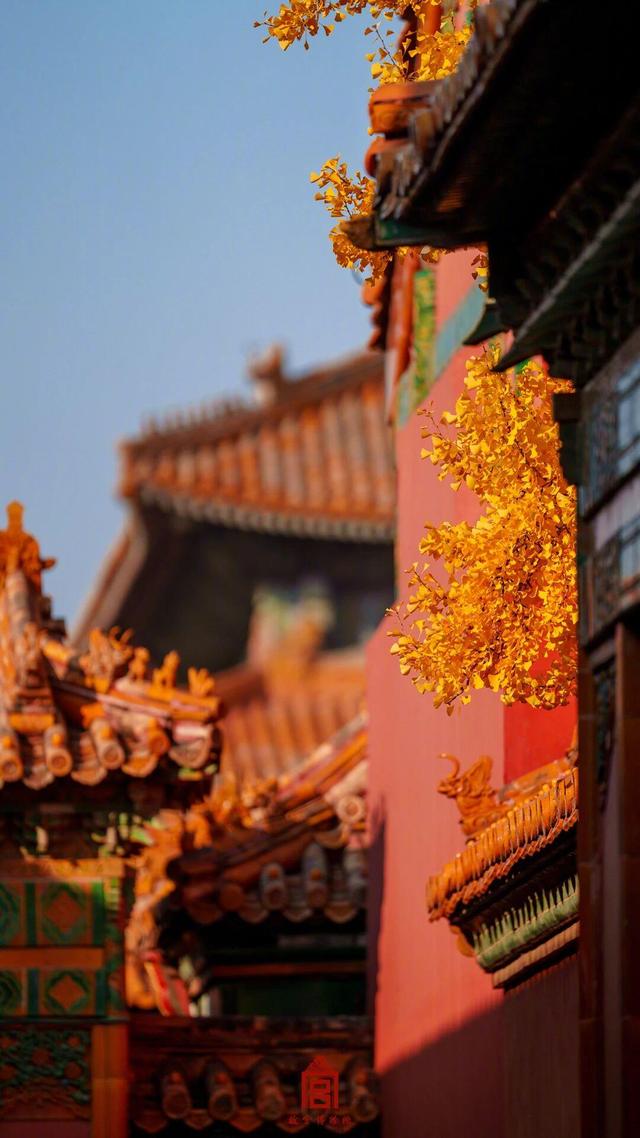 故宫秋日壁纸，上新了！