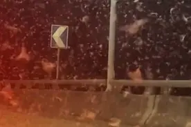 湖南一大桥现大量飞虫有车辆打滑，当地回应：连夜清扫，已通车视频封面