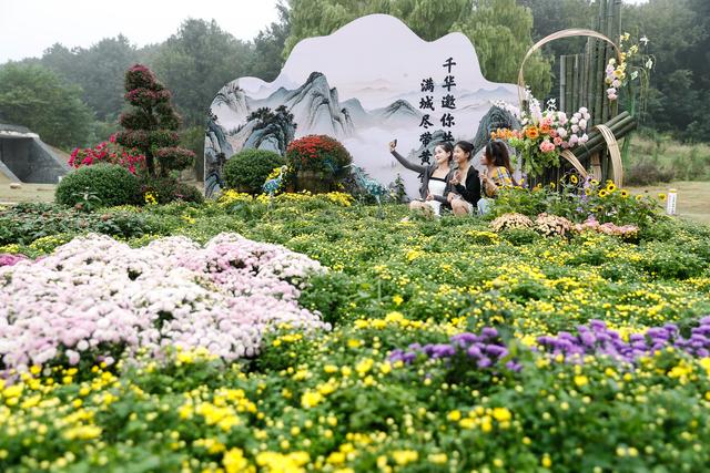 江苏句容：宝华山下文旅热