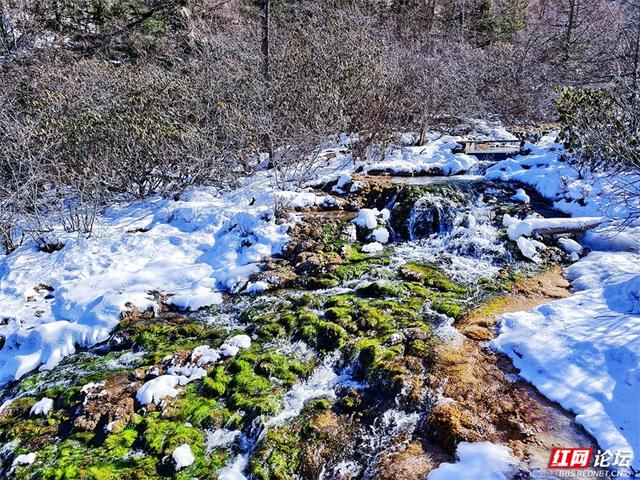 一半冰雪，一半碧波，冬日黄龙的色彩魔术