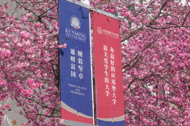 云南的大学有多美！一起来打卡嵩明职教新城樱花盛景