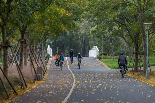 一大波美图袭来！长宁赏秋秘境藏不住啦～