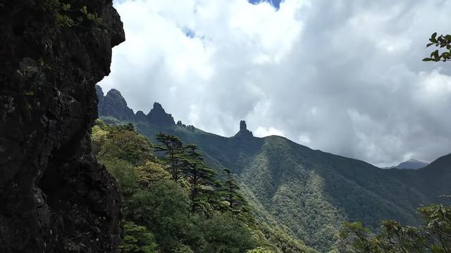 这里25℃还送溪水清凉！梵净山凭“凉”出圈