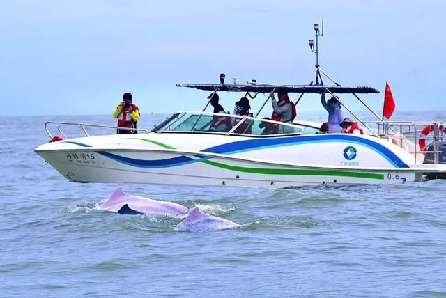 2025年钦州蚝情节福利时刻来啦!