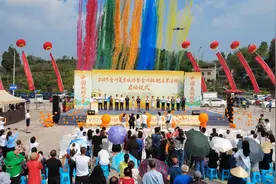 4万亩枇杷开摘！2025合川夏季旅游暨合川枇杷采果活动启动图片