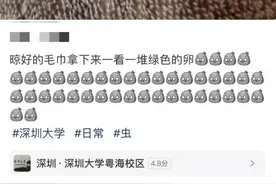 头皮发麻！很多广东人家中突然出现……提醒：千万别碰图片