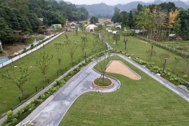 免费大放送，100间熊猫家园主题民宿酒店房间来袭