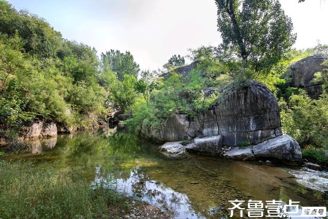 秀山东｜凤凰村：藏在济南身边的“绿野仙踪”/秦臻.大象
