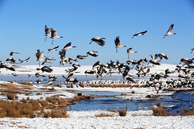 不止大理丽江！云南这些宝藏小城你去过几个