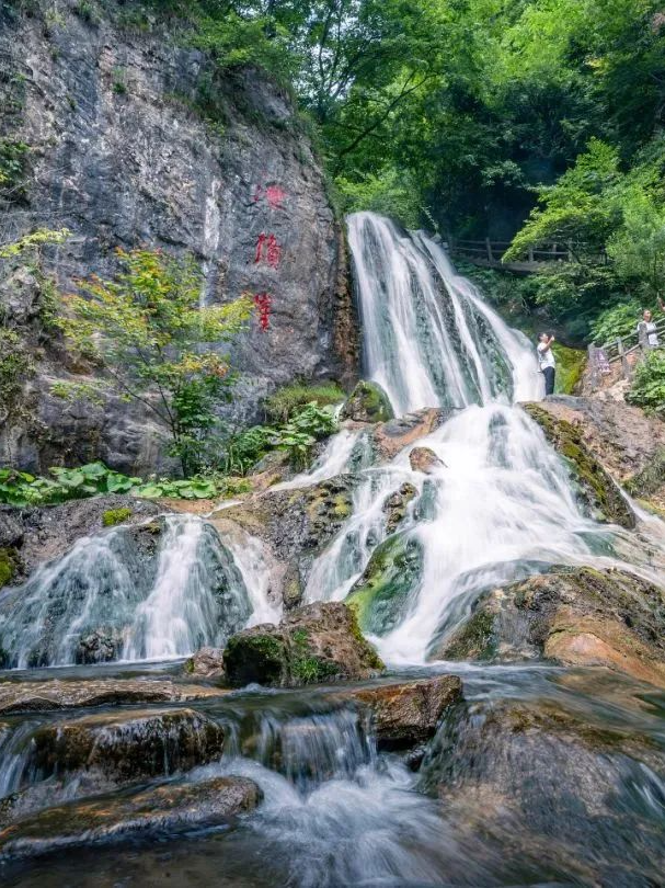豫见两山 绿色答卷丨生态之旅——打卡“中原肺叶”栾川县