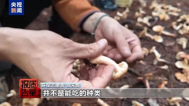 一天超万名游客进山！这个旅游项目爆火，专家警告：一旦破坏就“断子绝孙”了