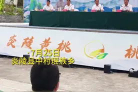 炎陵黄桃熟了，已陆续开园上市 The yellow Peaches of Yanling are Ripe and Have been Opened to the Market图片