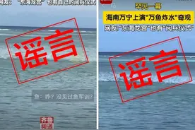 海南万宁海域出现“万鱼炸水”奇观？官方辟谣：假的！图片