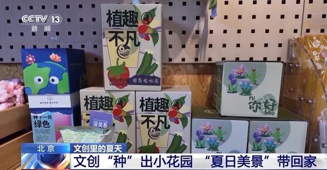 永不凋谢的花、被紫光灯“照活”的蝴蝶 博物馆文创“暗藏玄机”