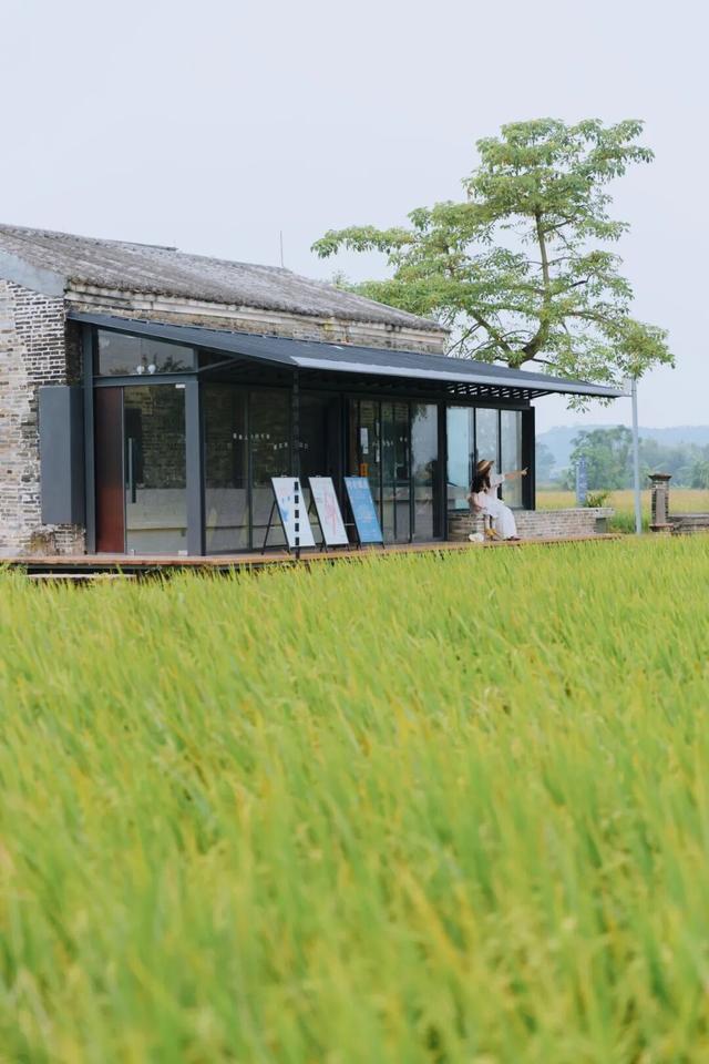 碉楼秋韵，揽胜塘口！快来开平这里把整个秋天“揽"入怀中