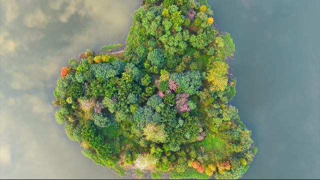 深圳最长环湖骑行道正式开放！