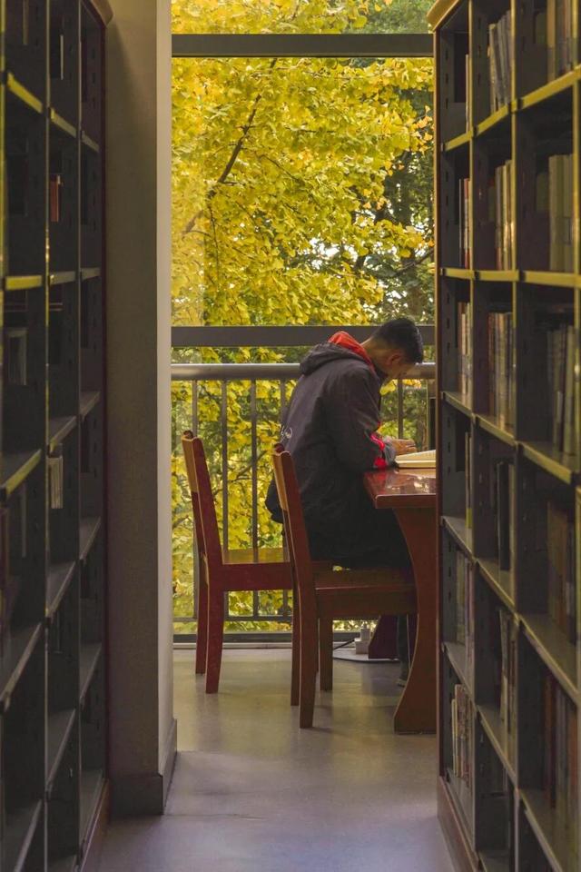 “美神”降临！太仓限定秋日美景，真的“杀”疯了！