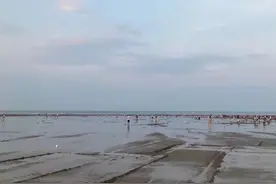 清凉一“夏”，逃离“暑”气！快来这些宝藏村庄打卡吧！图片