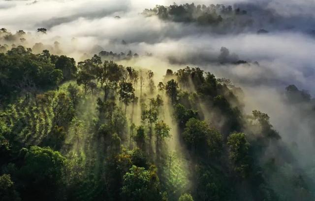 来西双版纳体验向往的生活