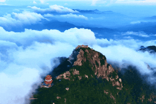 绝绝子！除了绝绝子，我还能怎么夸洛阳