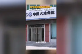 买交强险要现场验车？大地、永安保险：不拍照入不了图片