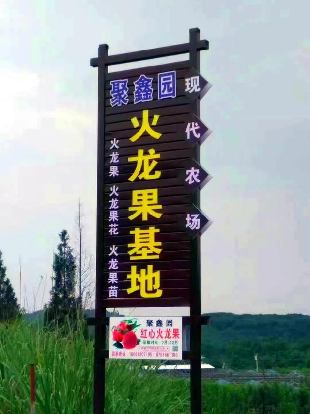 乐游绵阳 清凉一夏 ‖ 三台“果”然有趣，饱满红瓤，一口沦陷​