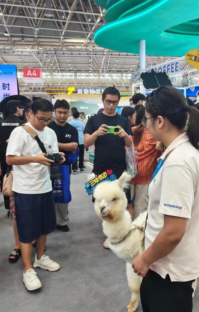 特技萌宠引爆文旅博览会，东湖海洋乐园热情互动