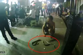 男子当街遛蛇，被行拘5日图片