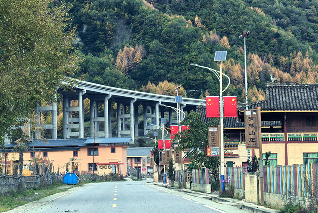 青睐绵阳 ‖ 红透了！周末去平武，沿着“百里彩林走廊”看一场雪山彩林“大片”~